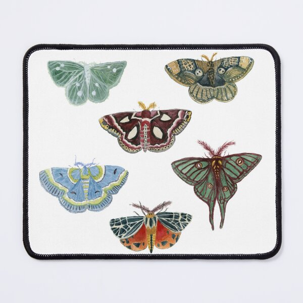 Item preview, Watercolor Moths designed and sold by paintedpansy.