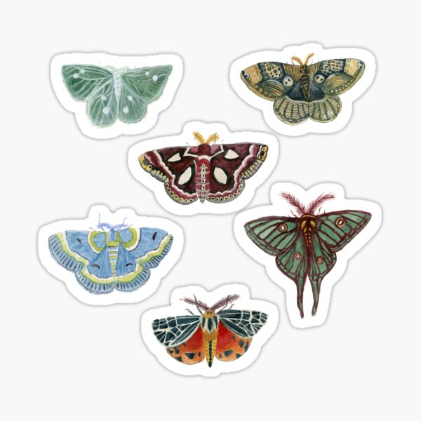 Item preview, Watercolor Moths designed and sold by paintedpansy.