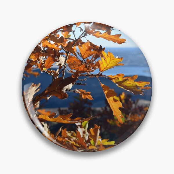 Item preview, Colorful Colorado in Fall designed and sold by rachphotography.