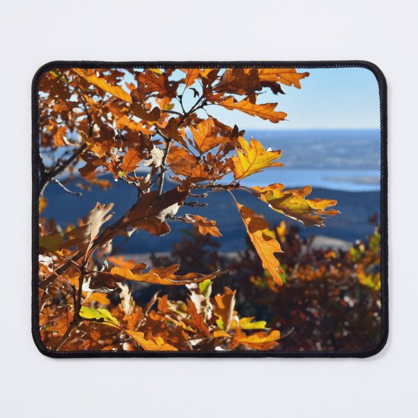 Item preview, Colorful Colorado in Fall designed and sold by rachphotography.