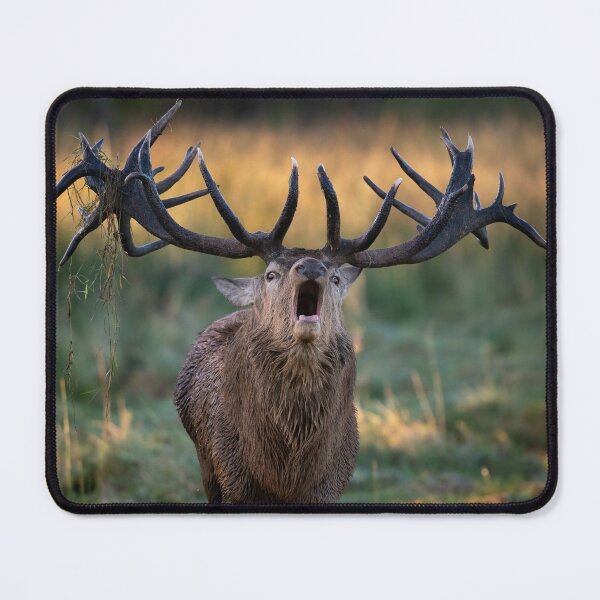 Item preview, Red Deer roaring designed and sold by JackBranscombe.