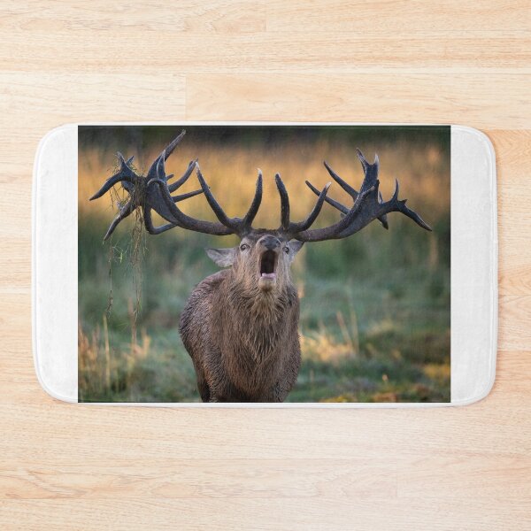 Item preview, Red Deer roaring designed and sold by JackBranscombe.