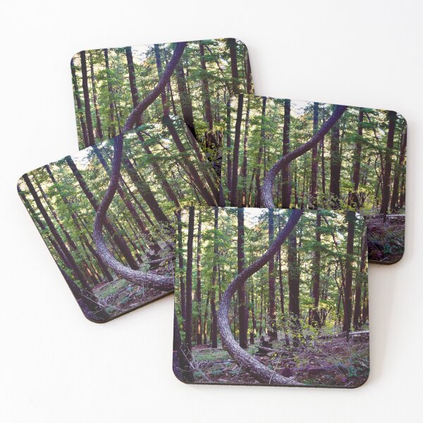 Item preview, Funky Tree in Colorado Woods designed and sold by rachphotography.