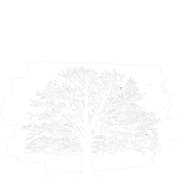 Artwork thumbnail, tree by Imagine-Create