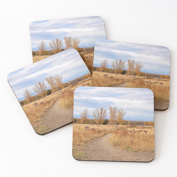 Item preview, Colorful Colorado - Fall Trail Scene designed and sold by rachphotography.
