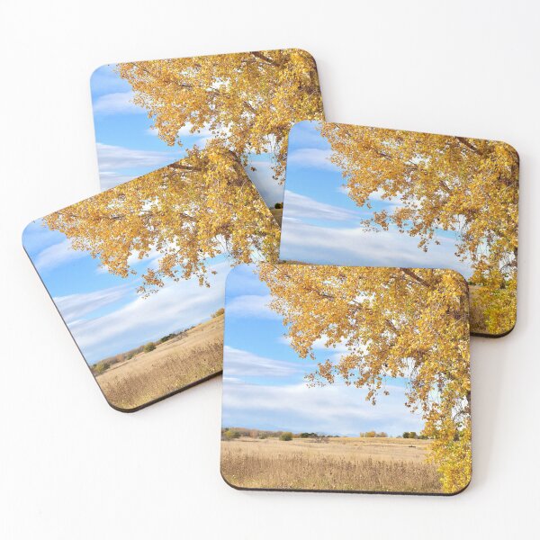 Item preview, Fall Colors in Colorful Colorado designed and sold by rachphotography.