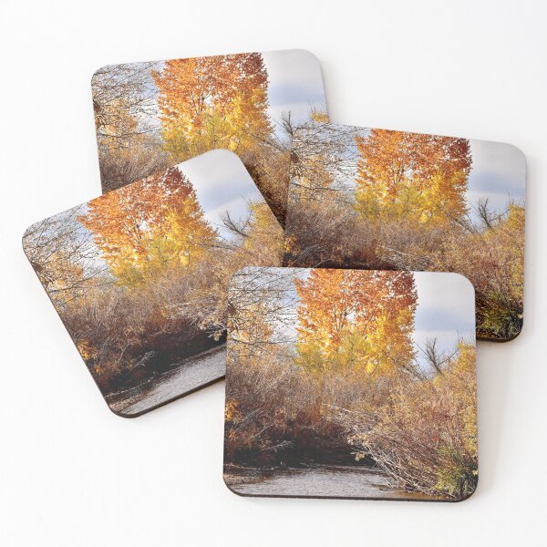 Item preview, Autumn Scene in Colorado designed and sold by rachphotography.