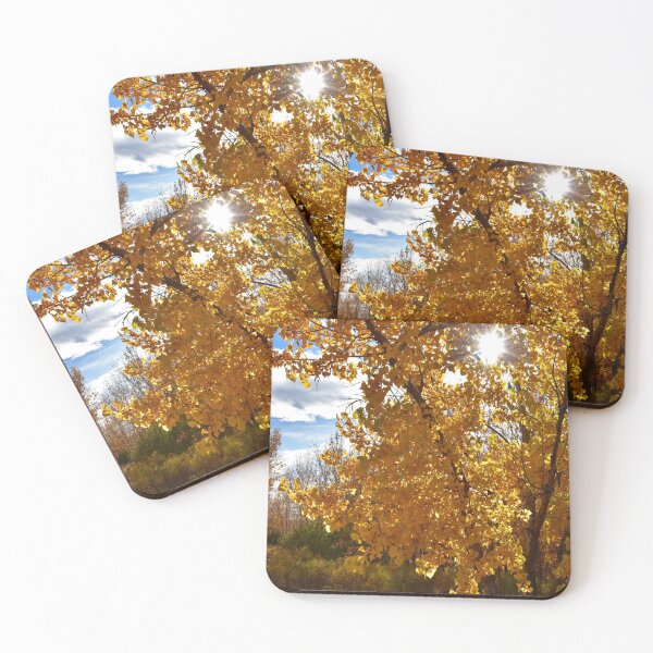 Item preview, Fall Foliage in Colorado designed and sold by rachphotography.