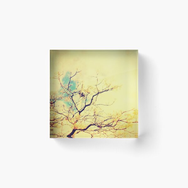 tree 4745 Acrylic Block