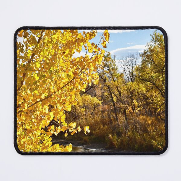 Item preview, Colorado October Foliage designed and sold by rachphotography.