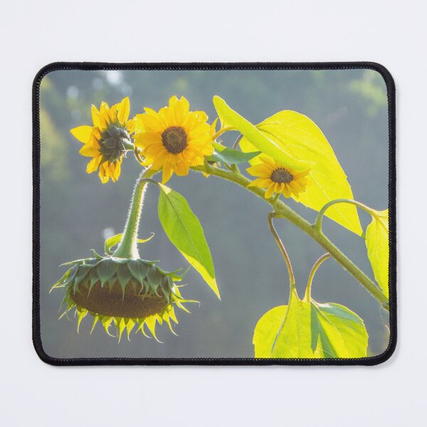 Item preview, The joy of the October sunshine designed and sold by jchanders.