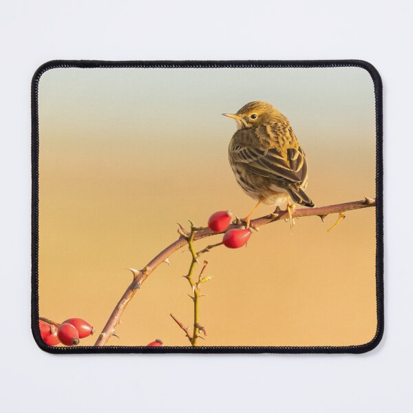 Item preview, Meadow Pitpit designed and sold by JackBranscombe.