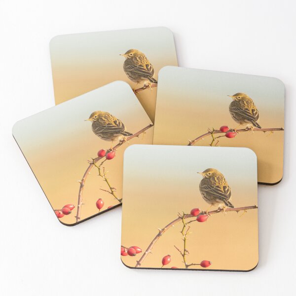Item preview, Meadow Pitpit designed and sold by JackBranscombe.