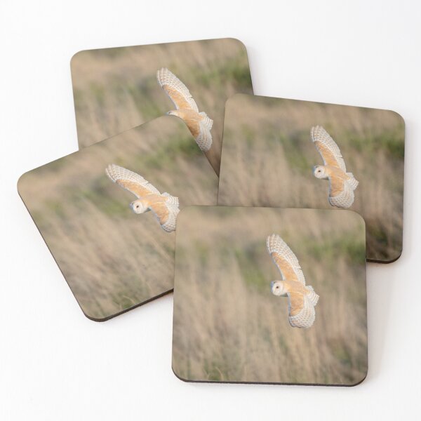 Item preview, Barn Owl flyby designed and sold by JackBranscombe.