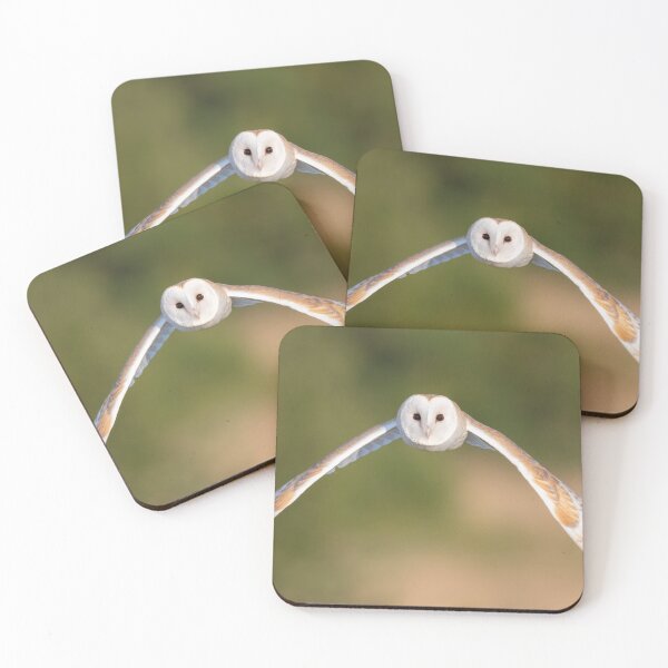 Item preview, Barn owl head on! designed and sold by JackBranscombe.