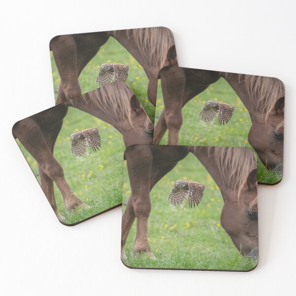 Item preview, Little Owl, Horse & the worm designed and sold by JackBranscombe.