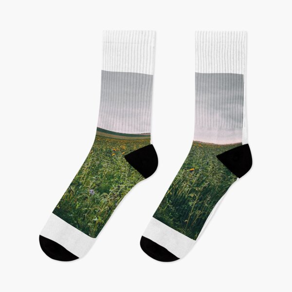 Item preview, Cap blanc nez, Pas de Calais, sunflower field designed and sold by jsebouvi.