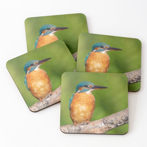 Item preview, Female Kingfisher designed and sold by JackBranscombe.