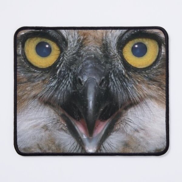Item preview, Owl Face Mask designed and sold by weavernap.