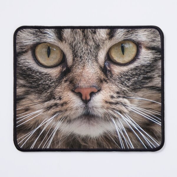 Item preview, Cat Face Mask designed and sold by weavernap.