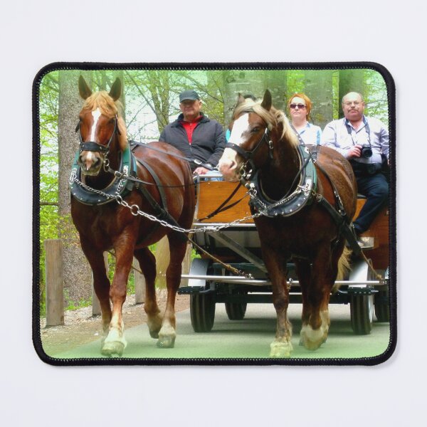 Item preview, Carriage to the castle designed and sold by angel1.