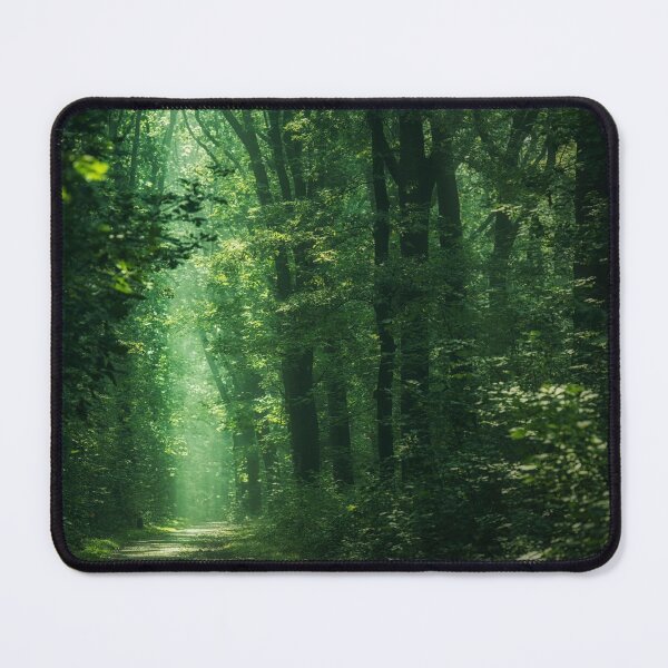 Item preview, Sunlit Woodland designed and sold by David Lichtneker.