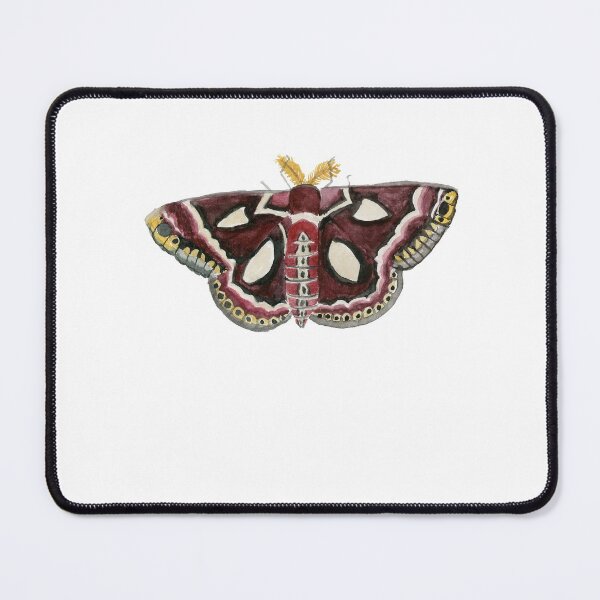 Item preview, Watercolor Cecropia (silk) Moth designed and sold by paintedpansy.