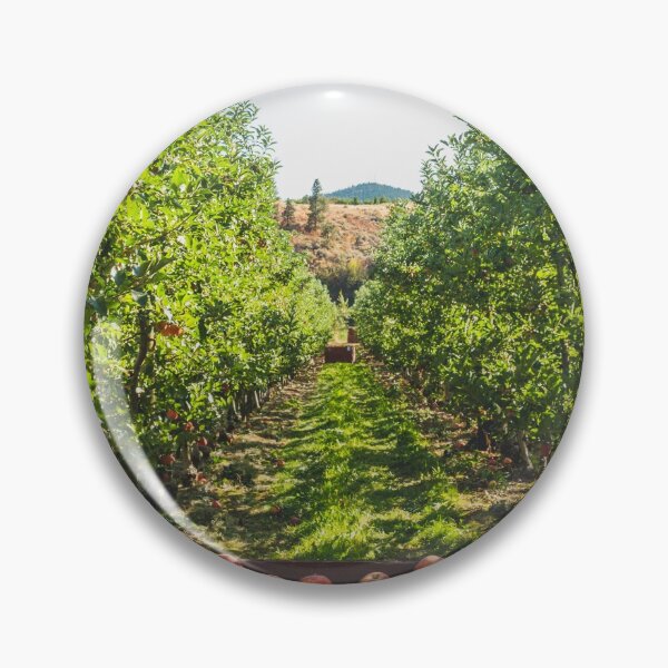 Item preview, Okanagan Apple Orchard | Kelowna, BC designed and sold by admkng.