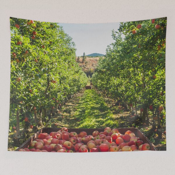 Item preview, Okanagan Apple Orchard | Kelowna, BC designed and sold by admkng.