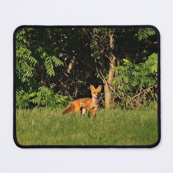 Item preview, Red Fox designed and sold by cherylorraine.