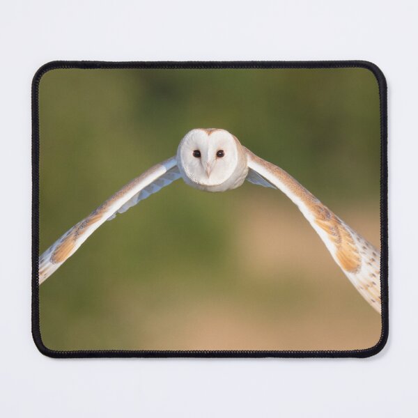 Item preview, Barn owl head on! designed and sold by JackBranscombe.