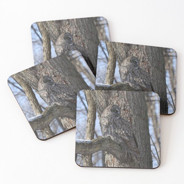 Item preview, Great Gray Owl Camouflage 1 designed and sold by locustgirl.