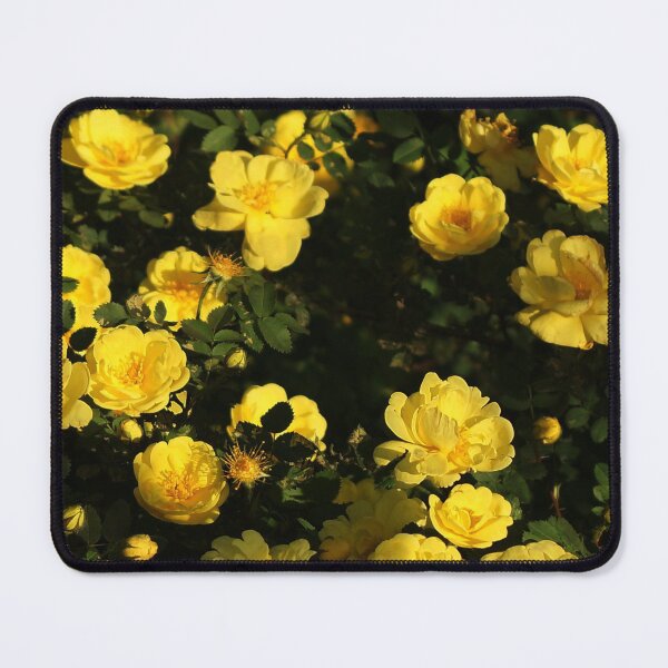 Item preview, Yellow Roses designed and sold by cherylorraine.