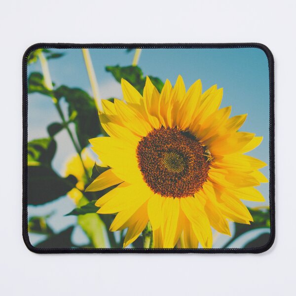 Item preview, Sunflower State of Mind | Kamloops, BC designed and sold by admkng.