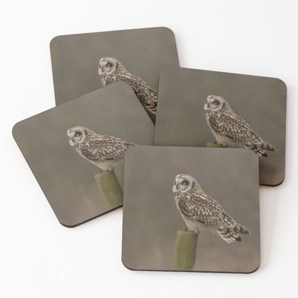 Item preview, Short-eared owl perched designed and sold by JackBranscombe.