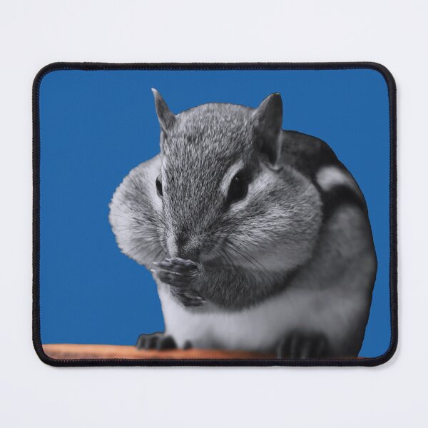 Item preview, Eastern Chipmunk designed and sold by cherylorraine.
