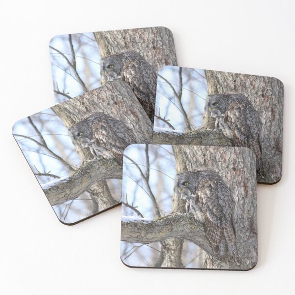 Item preview, Great Gray Owl Camouflage 4 designed and sold by locustgirl.
