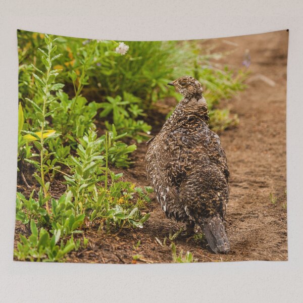 Item preview, Sooty Grouse designed and sold by CanvasByNature.
