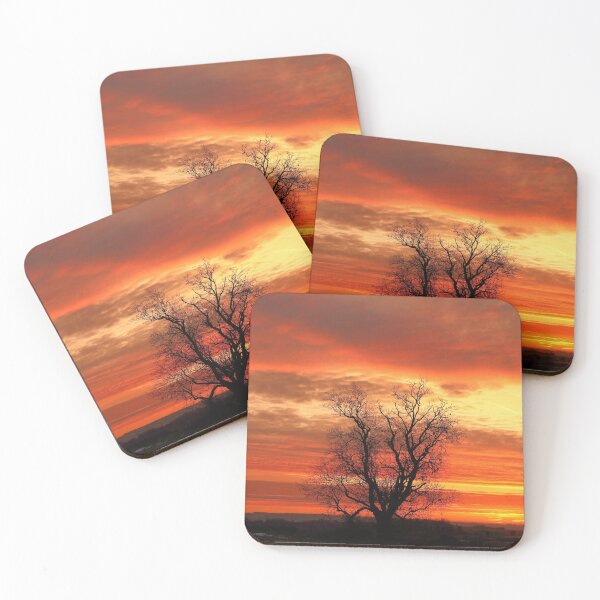 Item preview, Digital Photograph of Tree silhouette designed and sold by SimonJohnson1.