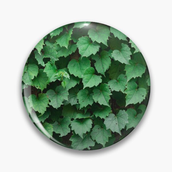 Item preview, Vine Covered Wall designed and sold by CanopyCollage.