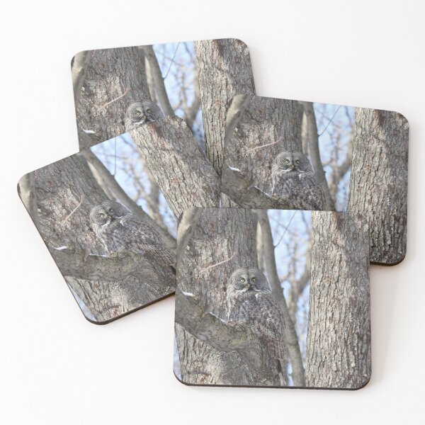 Item preview, Great Gray Owl Camouflage 5 designed and sold by locustgirl.