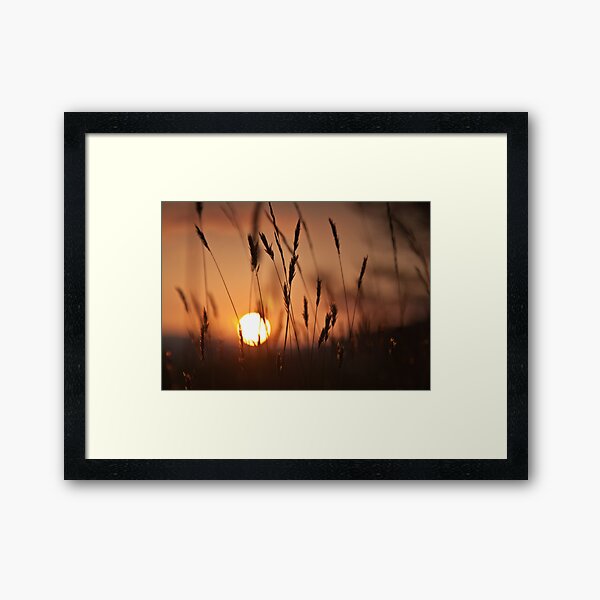 Summers End Framed Art Print