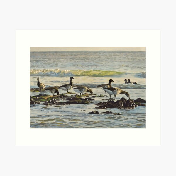 Item preview, Brent Geese designed and sold by Niall McCarthy.