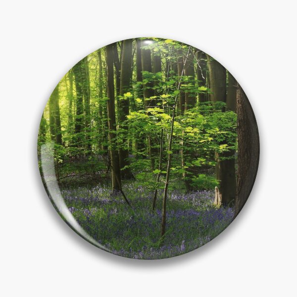 Aperçu de l'œuvre Photographie numérique de bluebell woodland ensoleillé créée et vendue par SimonJohnson1.