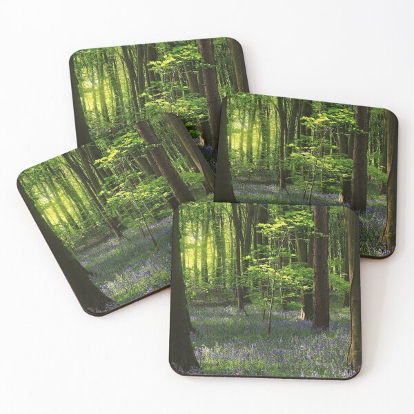 Item preview, Digital photograph of sunlit bluebell woodland designed and sold by SimonJohnson1.