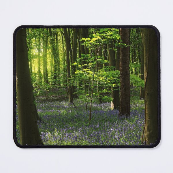 Item preview, Digital photograph of sunlit bluebell woodland designed and sold by SimonJohnson1.