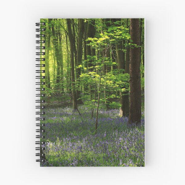 Item preview, Digital photograph of sunlit bluebell woodland designed and sold by SimonJohnson1.