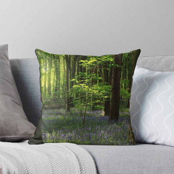 Item preview, Fotografía digital de un bosque de campanillas iluminadas por el sol designed and sold by SimonJohnson1.