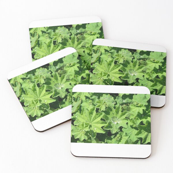 Item preview, Alchemilla designed and sold by Lauviahsdesign.