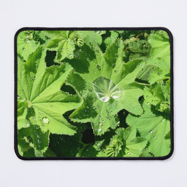 Item preview, Alchemilla designed and sold by Lauviahsdesign.